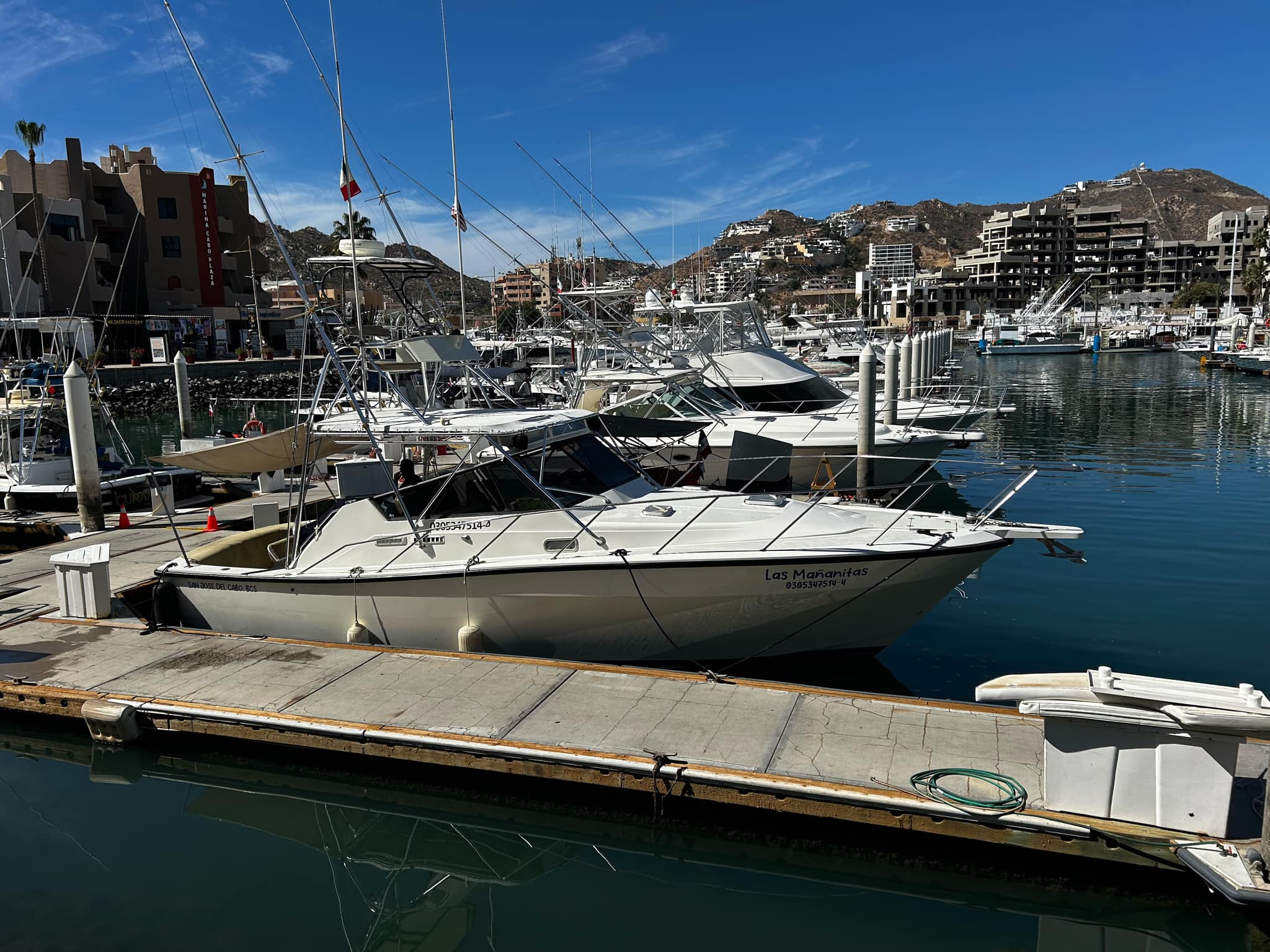 our-stories D0f7b136 03bc 4dd4 Bf2a 04ee861bc361