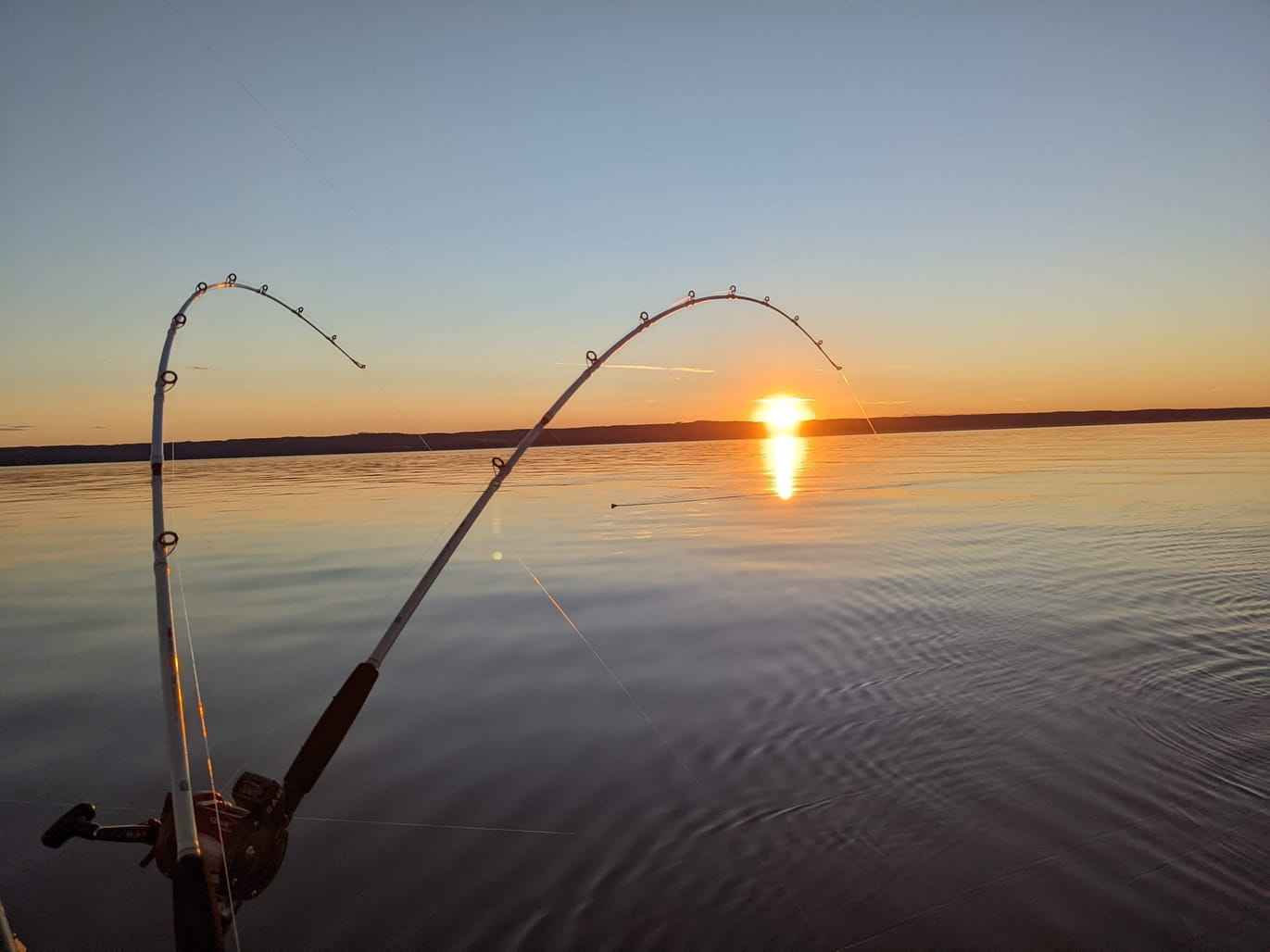 service-06 Fishing Rods In The Sunset